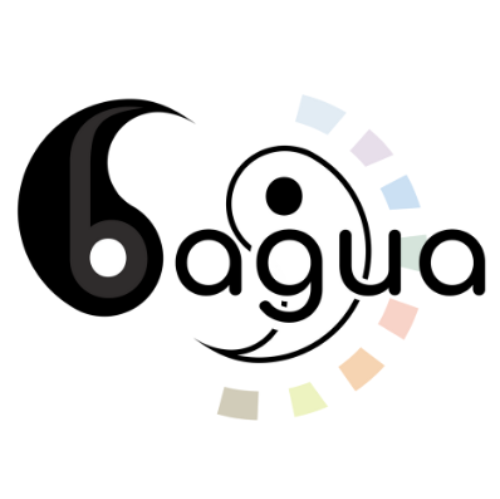 Team Bagua